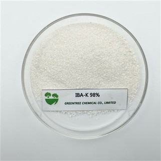 Št. CAS 60096-23-3 Rooting Hormone IBA-K indol maslena kislina kalijeva sol 98 odstotkov